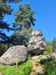 IMG-20250625-WA0118
